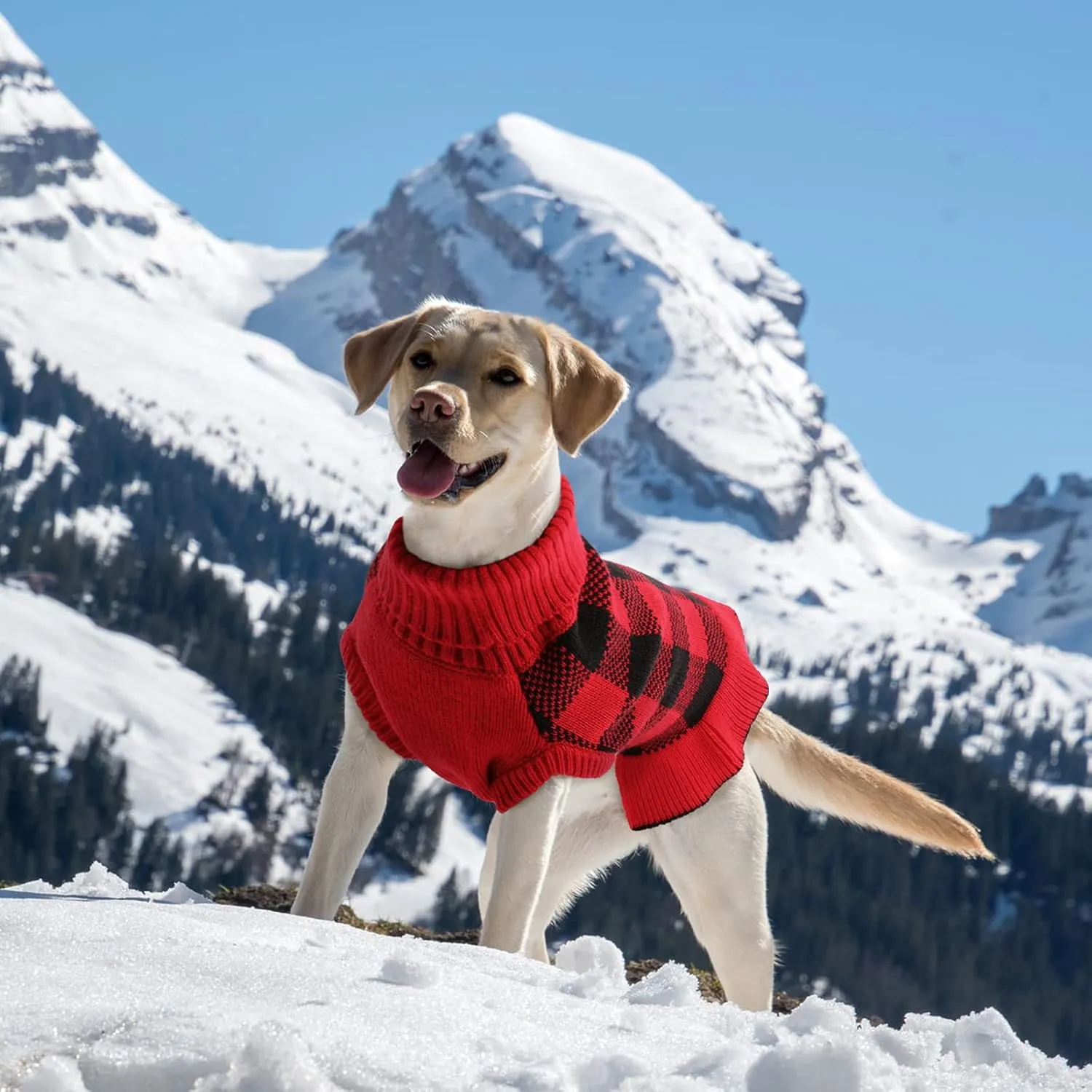 QBLEEV Small Dog Sweater Dress, Puppy Sweaters Knitwear Pullover Pet Sweaters with Leash Hole Warm Winter Dog Christmas Sweaters Fall Dog Sweaters Apparel Turtleneck Dog Sweaters for Dogs Girls Boys S