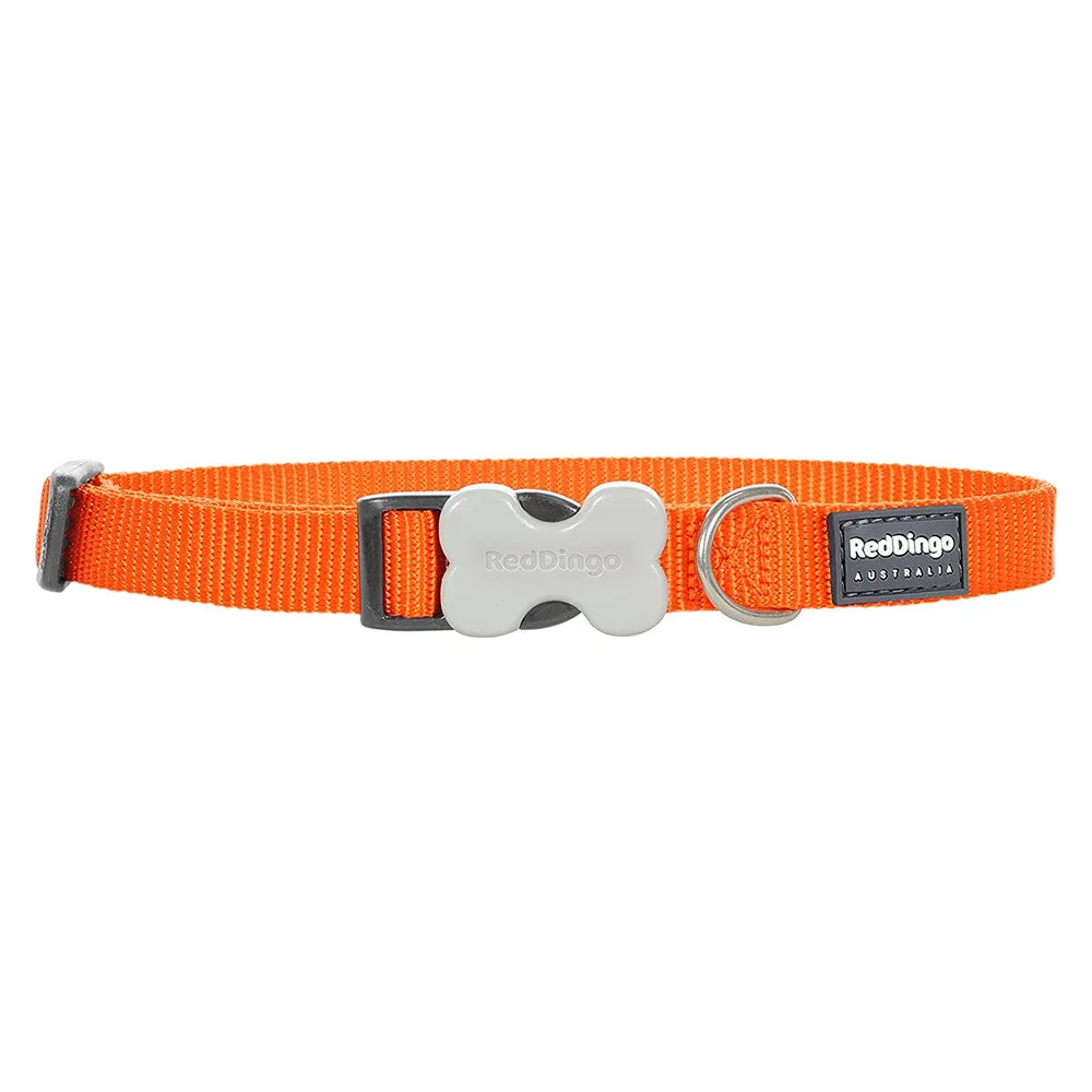 Red Dingo Dog Collar Orange L (25mm x 41-63cm)