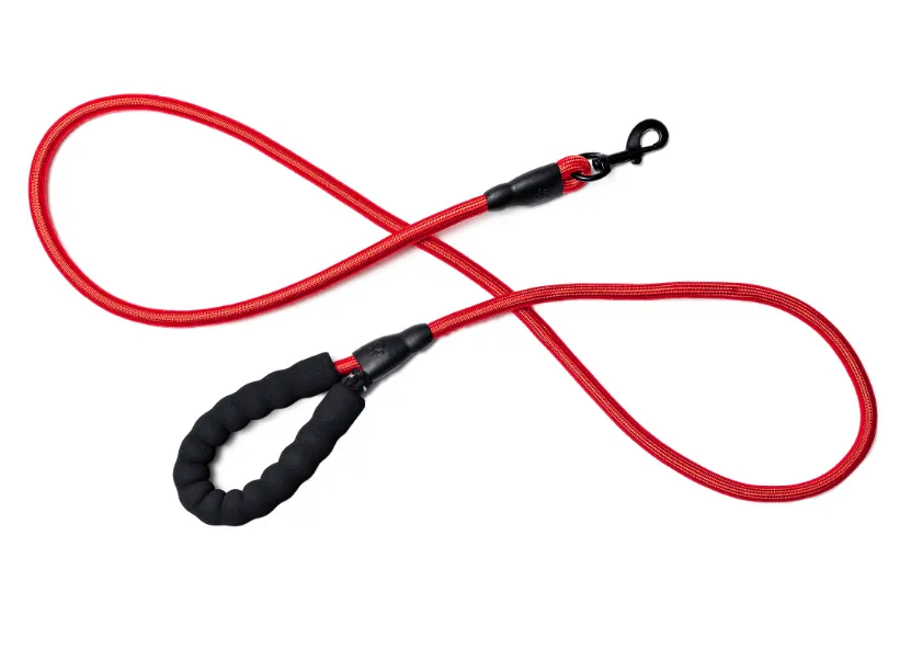 Rope Leash from Bark Appeal
