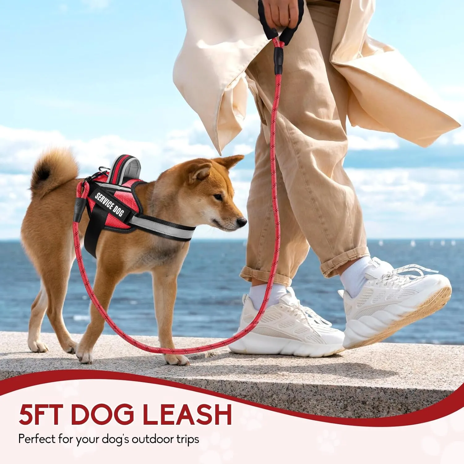 Service Dog ,Animire in Training , 10 ,,(L)