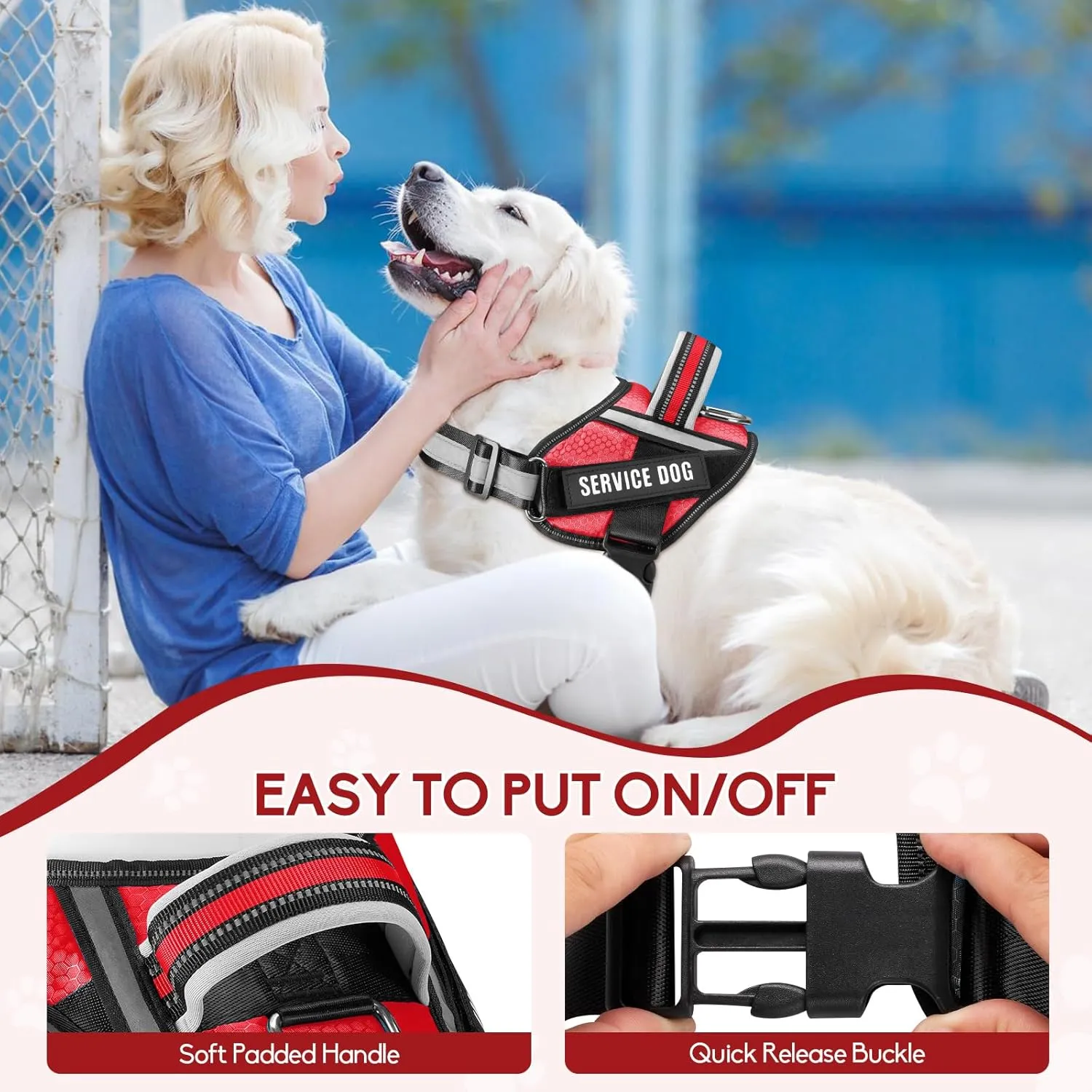 Service Dog ,Animire in Training , 10 ,,(L)