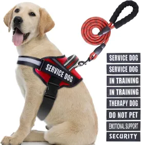 Service Dog ,Animire in Training , 10 ,,(L)