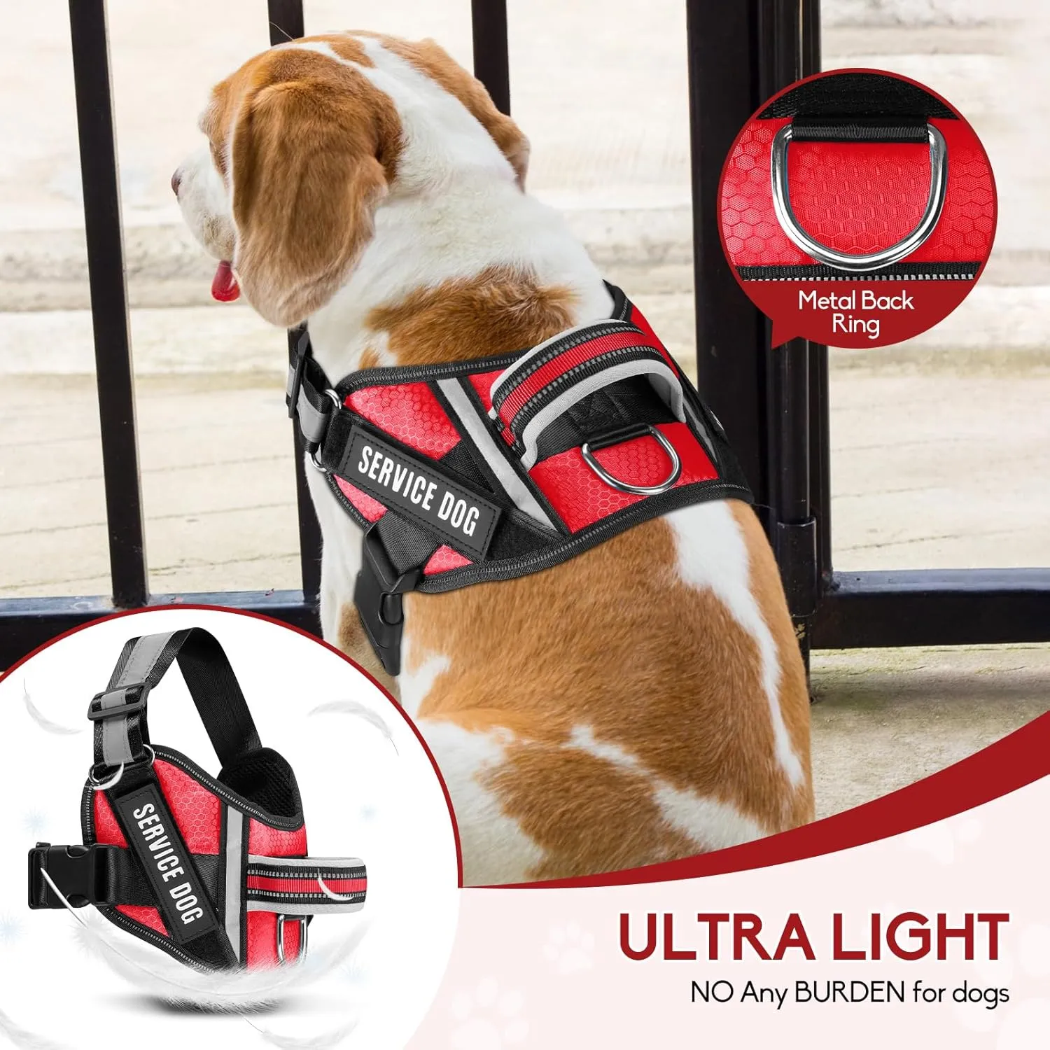 Service Dog ,Animire in Training , 10 ,,(L)