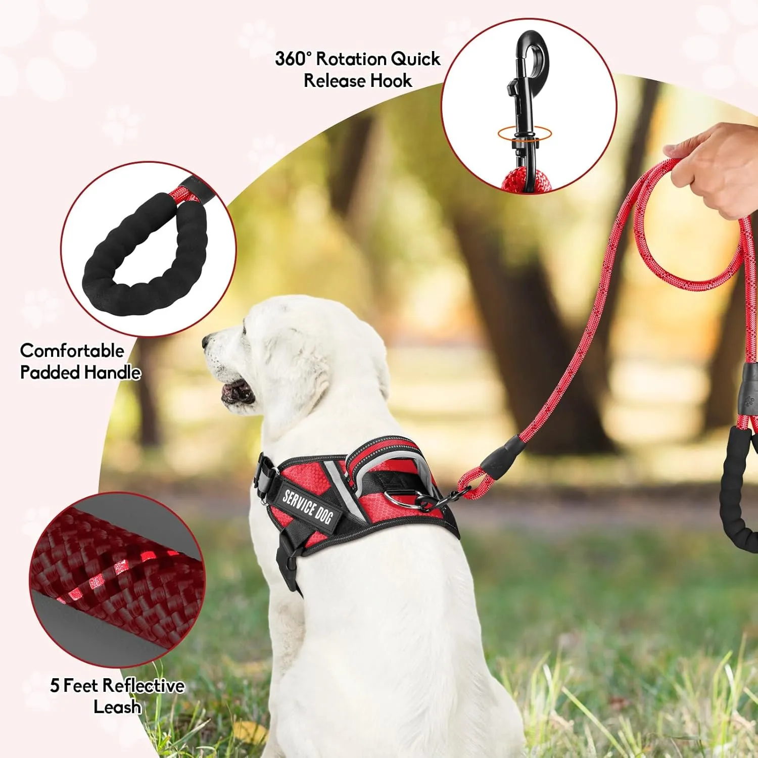 Service Dog ,Animire in Training , 10 ,,(L)