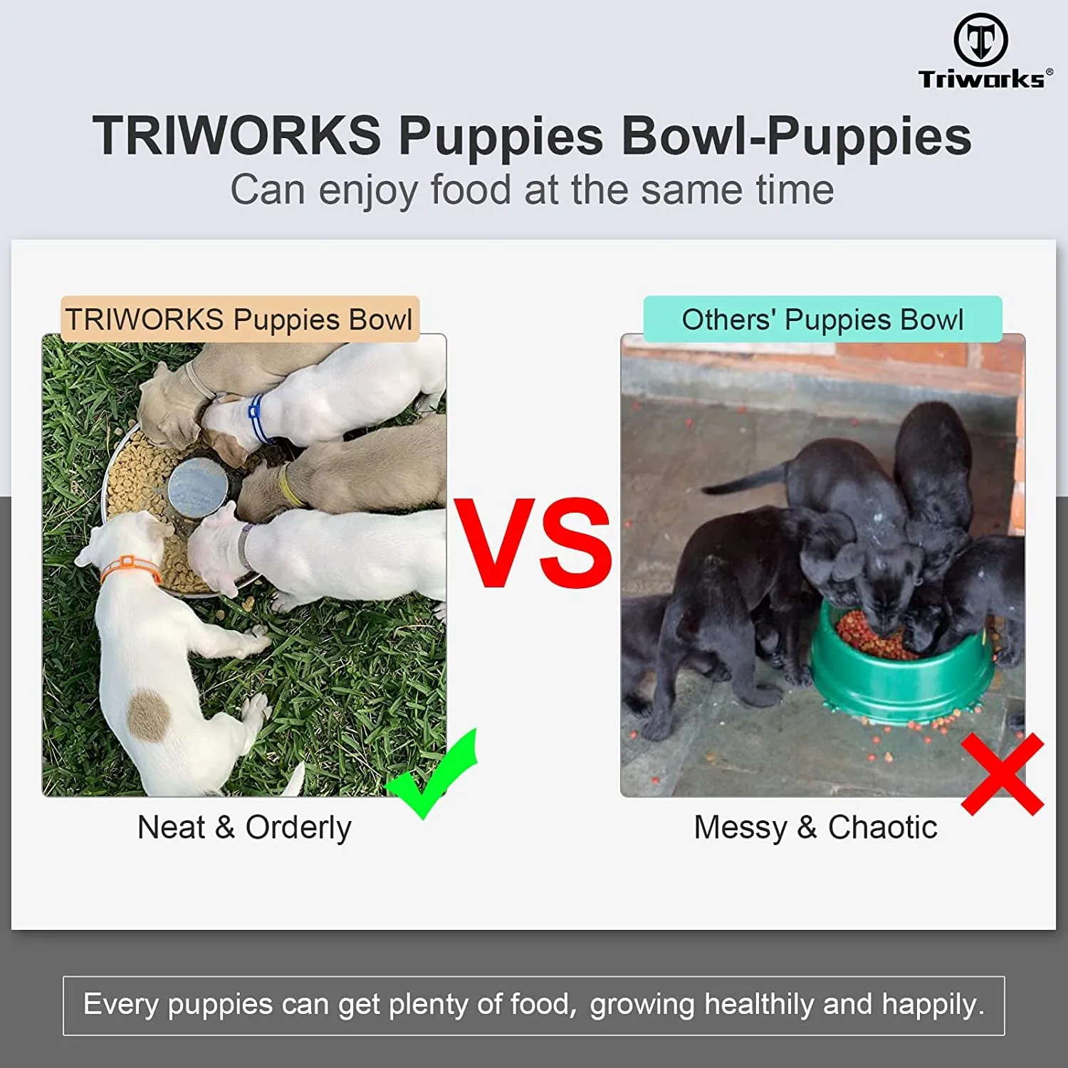 Set of 2 Stainless Steel Dog Bowls