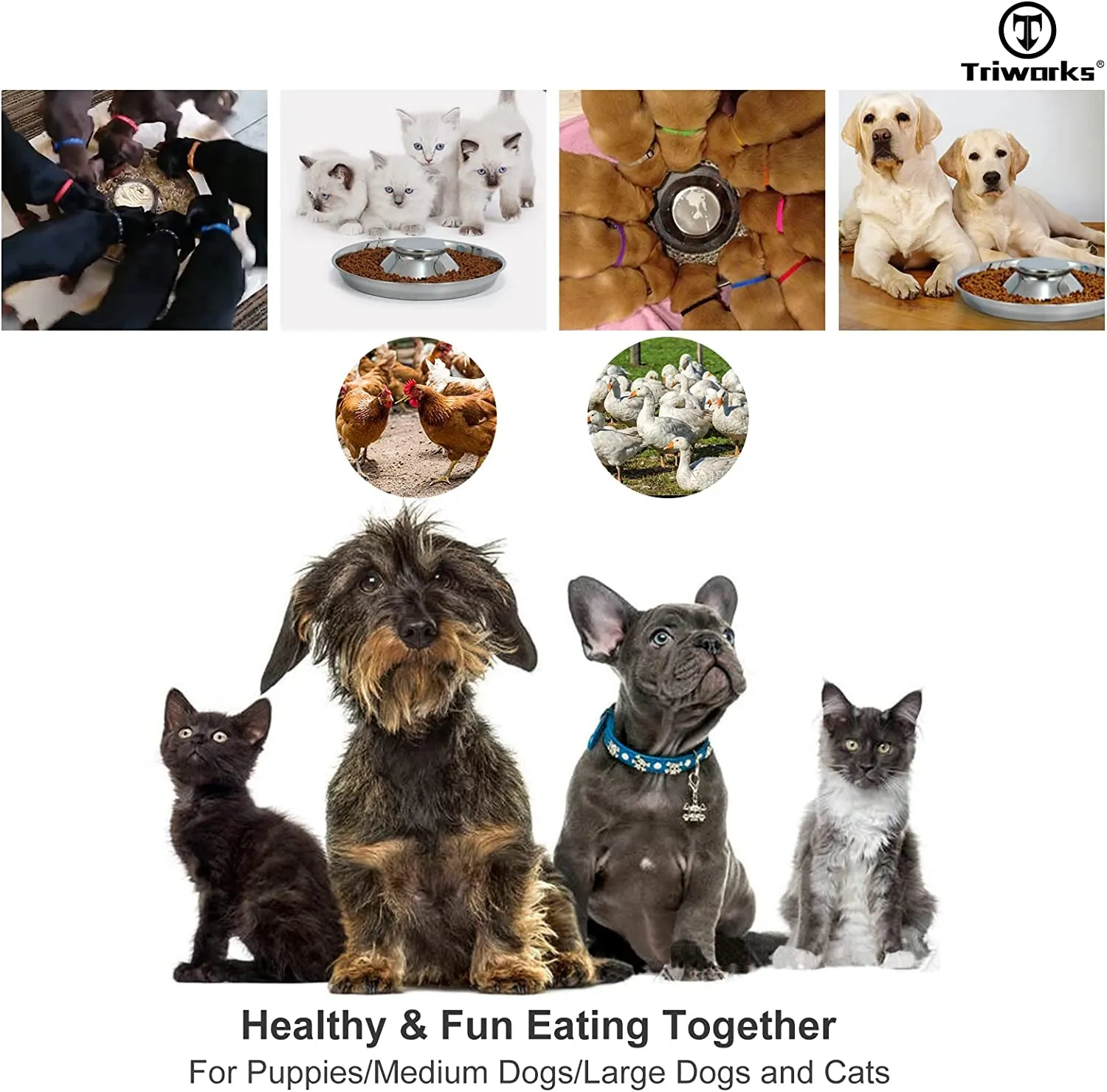 Set of 2 Stainless Steel Dog Bowls