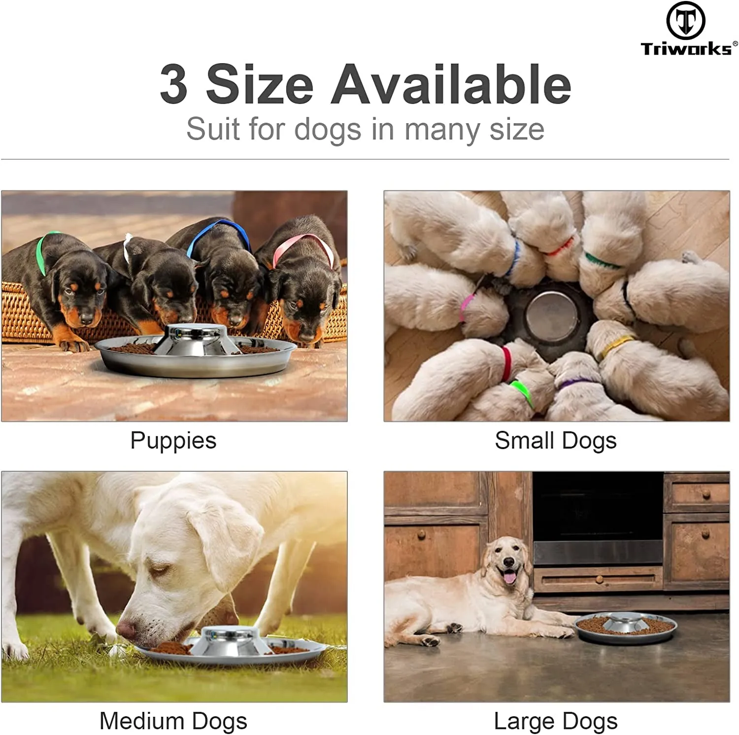 Set of 2 Stainless Steel Dog Bowls