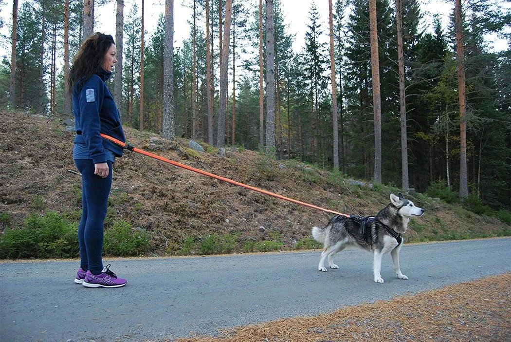 SGODA Hands Free Dog Leash,Bungee Leash for Walking Running Training,Nylon Dog Lead with Soft Padded Waist Belt,Black,Medium