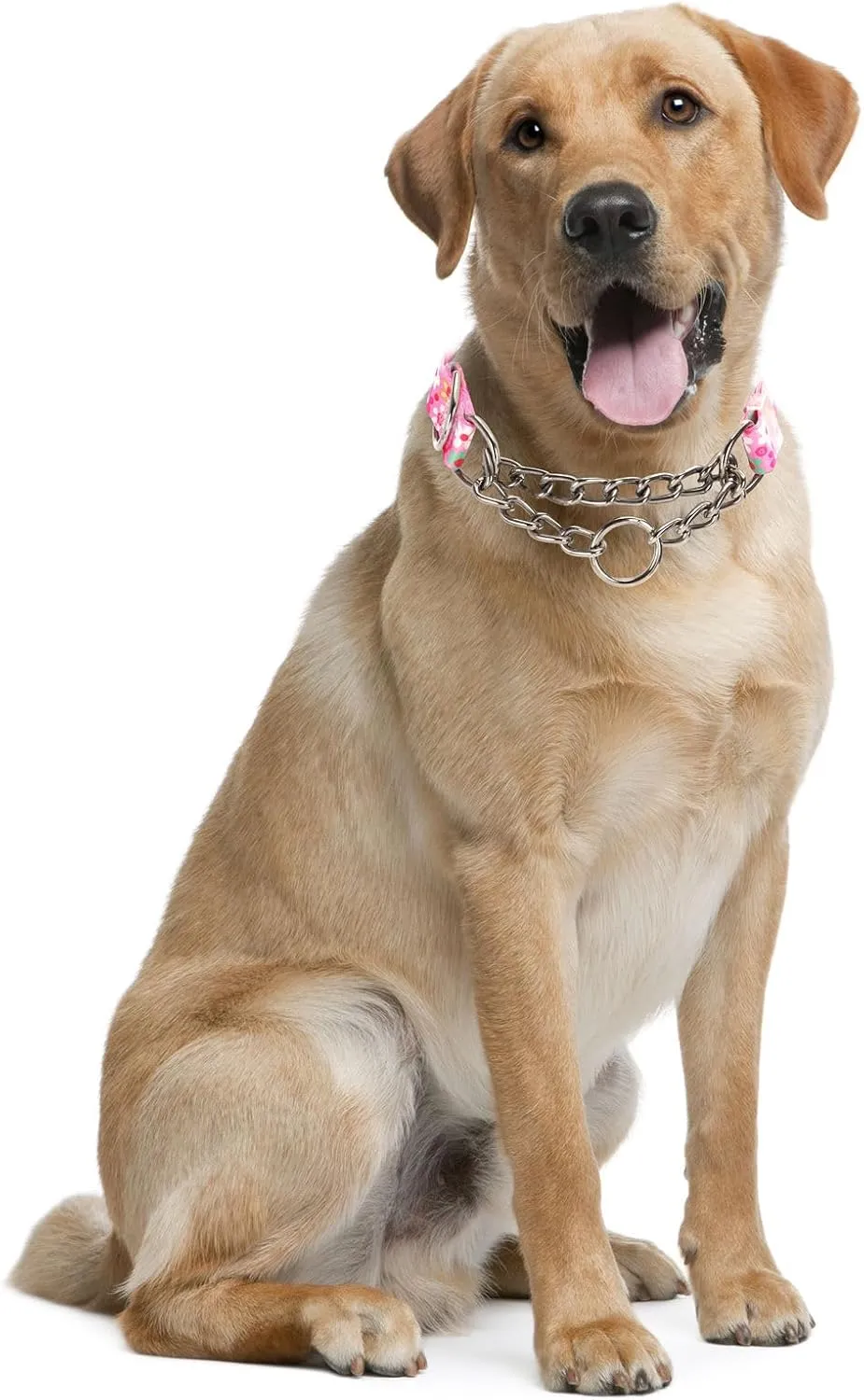 Stainless Steel Chain Martingale Dog Collar, No Pull Slip Cinch Choker Choke Collar Training Escape Proof Heavy Duty Dog Collar for Small Medium Large Pet Girl Female Dogs, Pink Floral XL